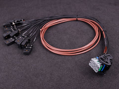 MaxxECU Pro Connector 2