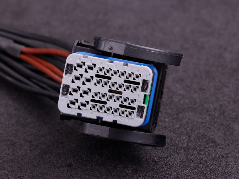 MaxxECU Pro Connector 2 Molex