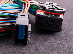 MaxxECU Race/Pro Flying Lead Harness Connector 1
