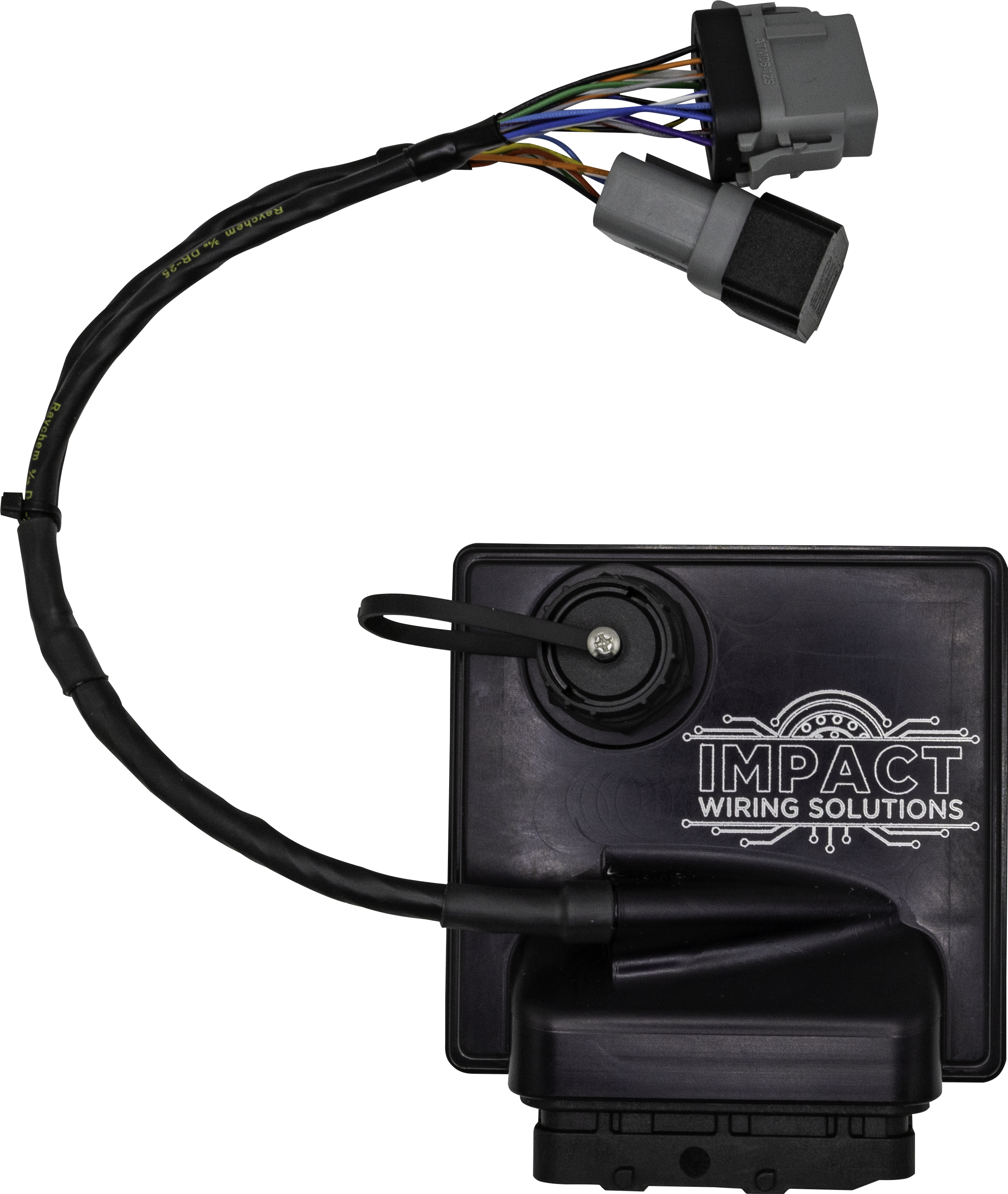 Impact ECU Information