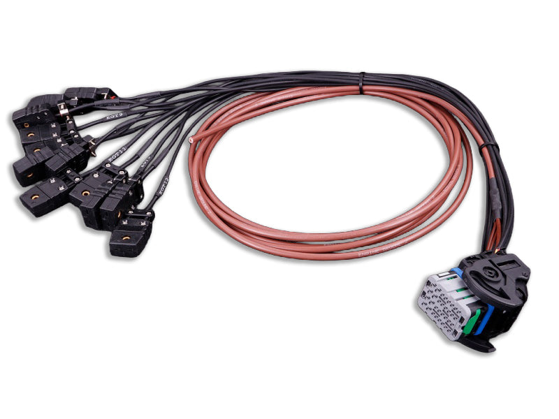 MaxxECU PRO Flying Lead Harness Connector 2