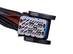 MaxxECU PRO Flying Lead Harness Connector 2