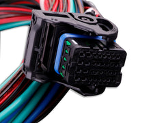 MaxxECU Race Flying Lead Harness Connector 2