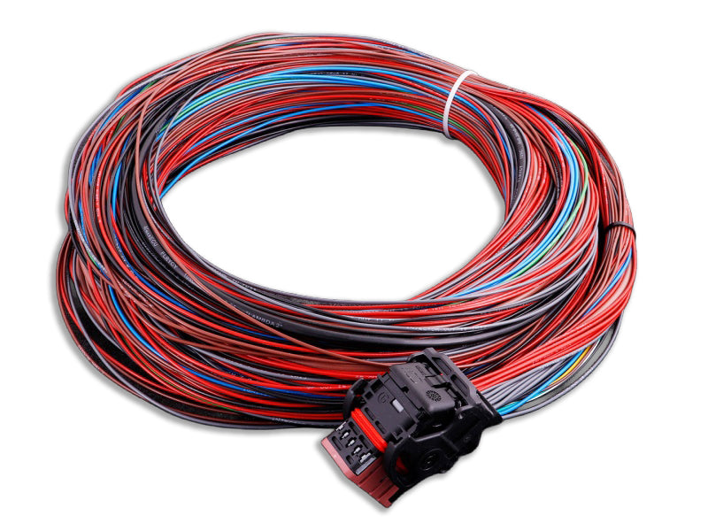 MaxxECU PRO Flying Lead Harness Connector 3