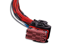 MaxxECU PRO Flying Lead Harness Connector 3