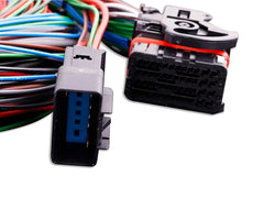 MaxxECU Race/Pro Flying Lead Harness Connector 1