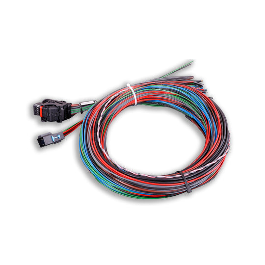 MaxxECU Sport Flying Lead Harness