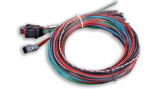 MaxxECU Sport Flying Lead Harness