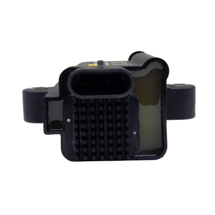 AEM IGN1A Smart Coil
